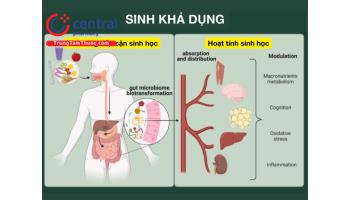 Sinh khả dụng của thuốc là gì? Công thức, bài tập tính sinh khả dụng 