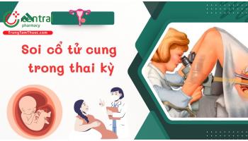 Soi cổ tử cung trong thai kỳ: Tổng quan chỉ định, quy trình đánh giá