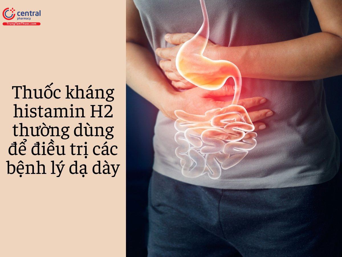 Thuốc kháng histamin H2 thường dùng để điều trị các bệnh lý dạ dày