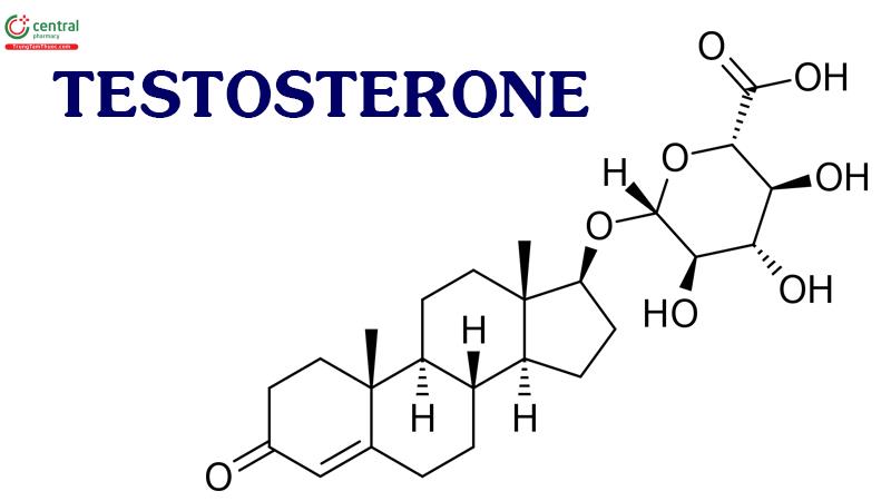 Testosteron
