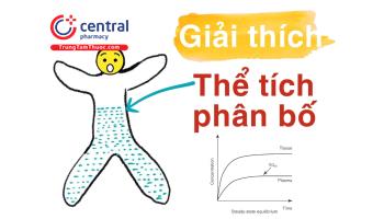 Thể tích phân bố là gì? Công thức tính và ý nghĩa trên lâm sàng