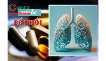 Thuốc bổ phổi nào tốt? Top 8 sản phẩm bổ phổi được tin dùng hàng đầu