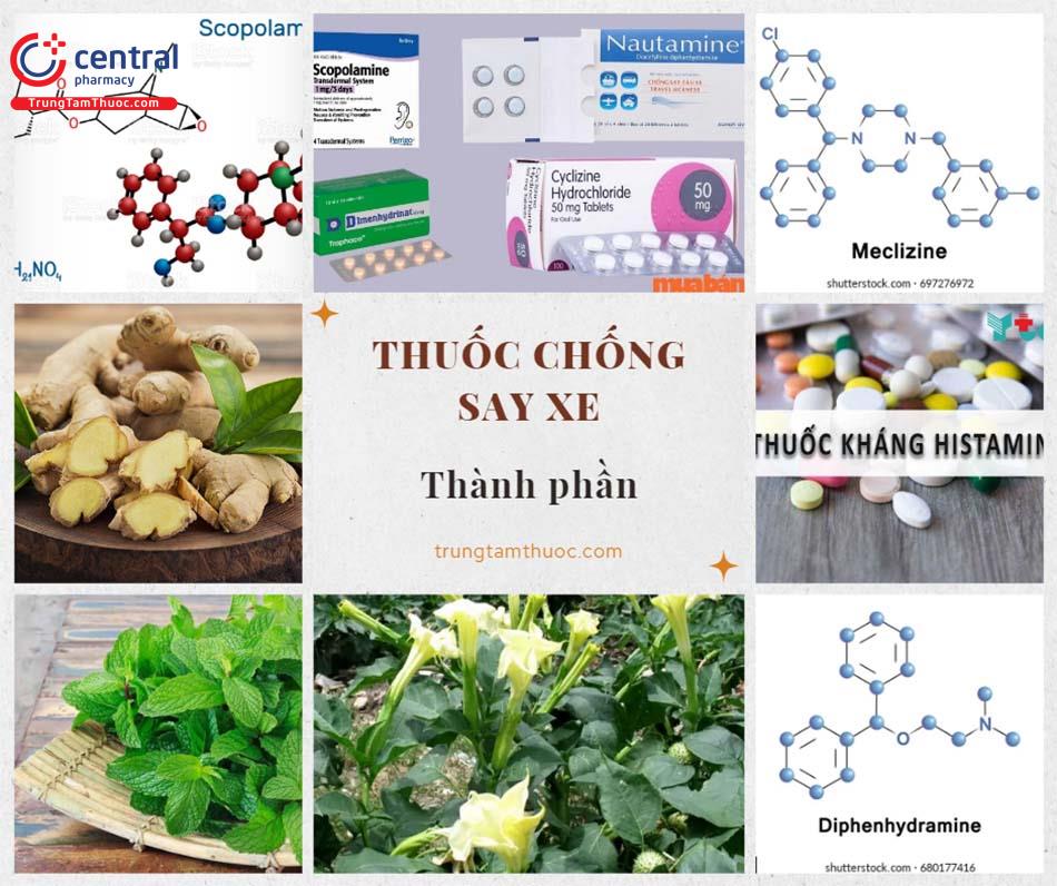 Các loại thuốc chống say tàu xe