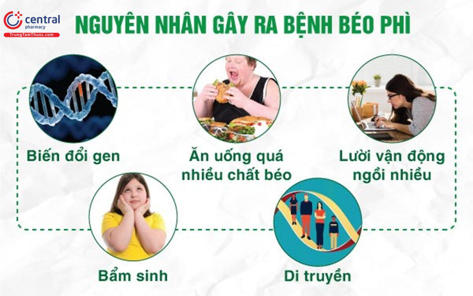 Có nhiều nguyên nhân dẫn đến béo phì
