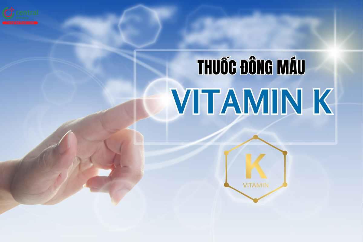Thuốc chống đông Vitamin K