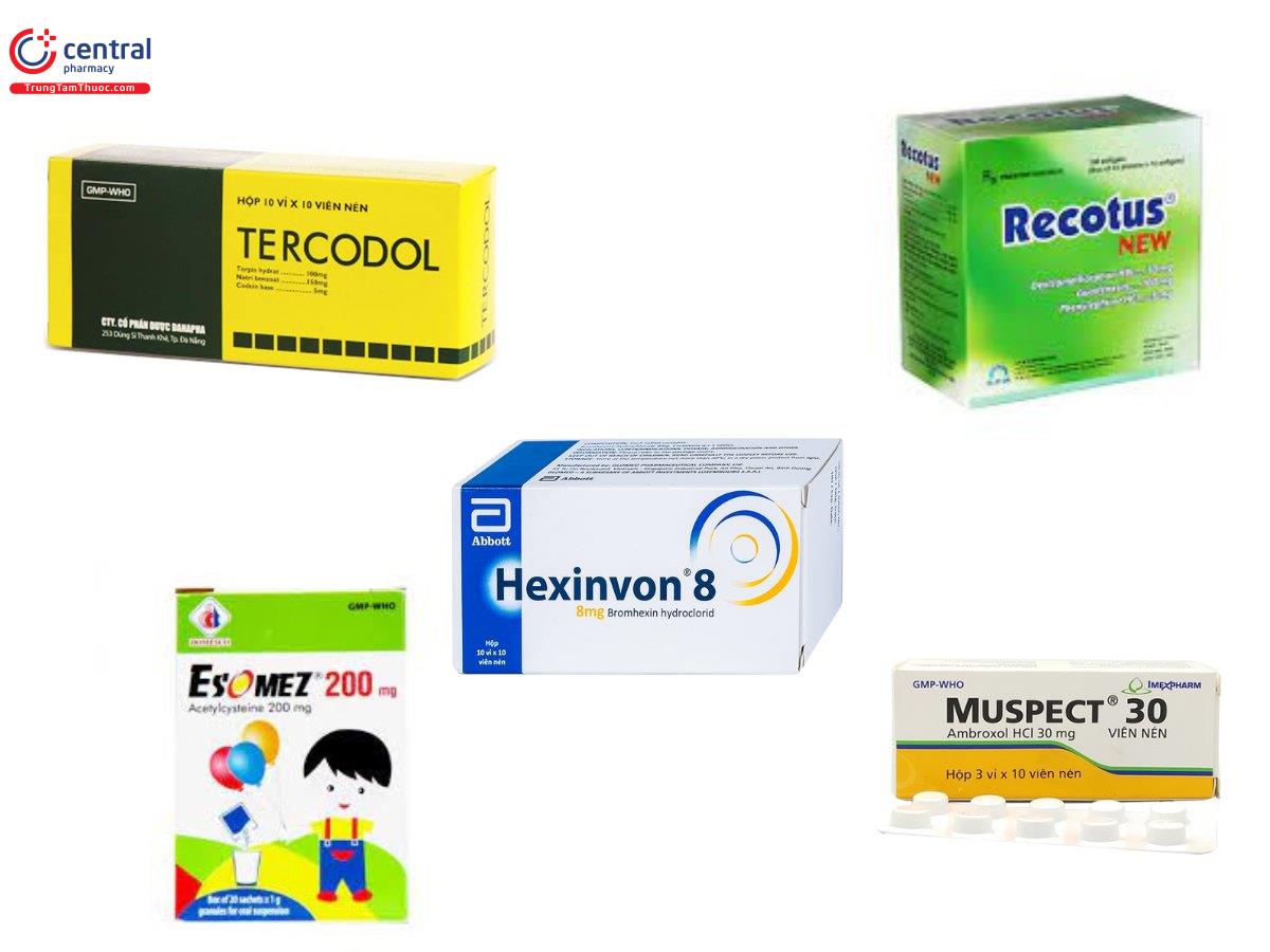 Một số chế phẩm thuốc long đờm