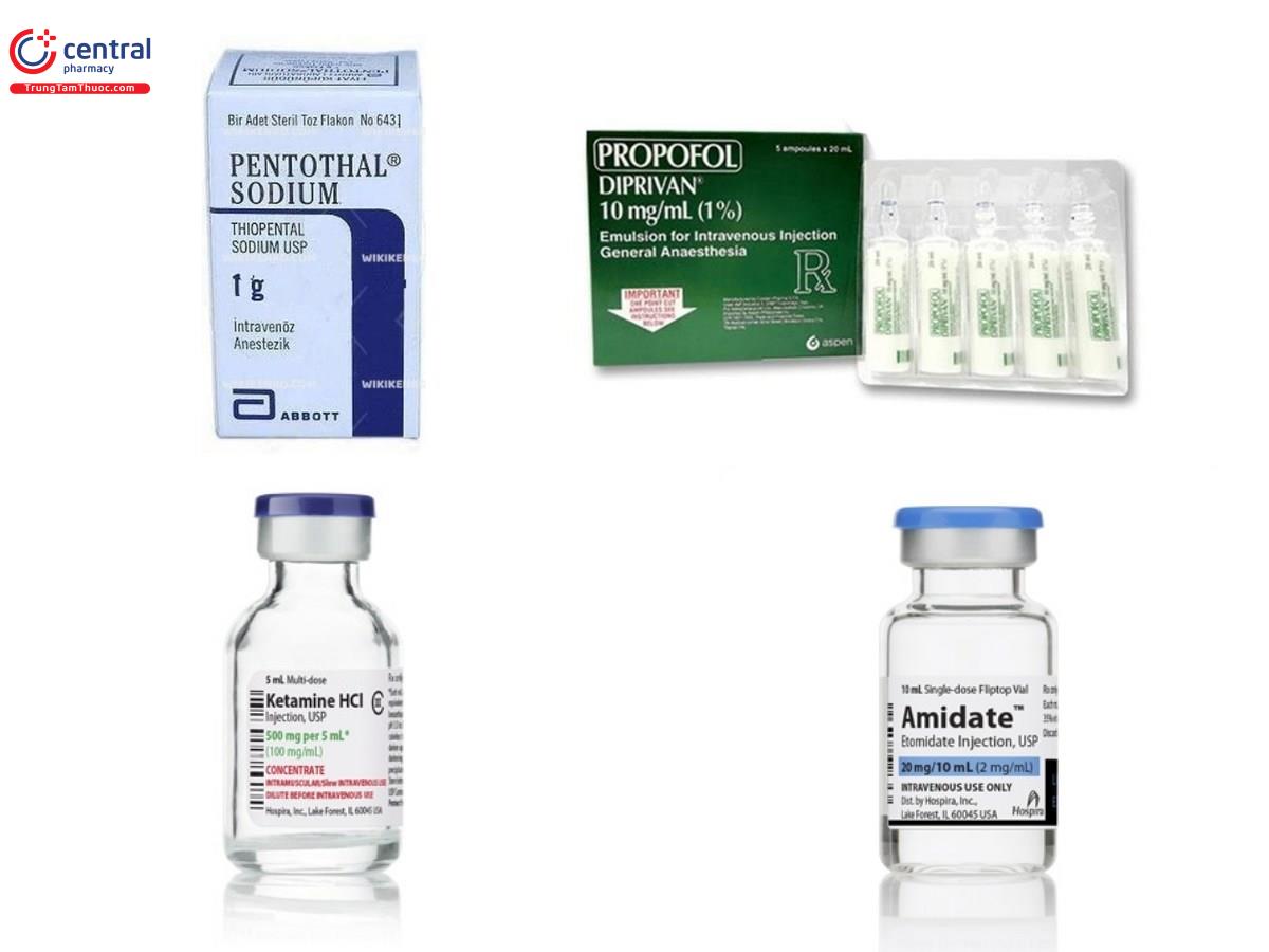 Các thuốc gây mê đường tĩnh mạch