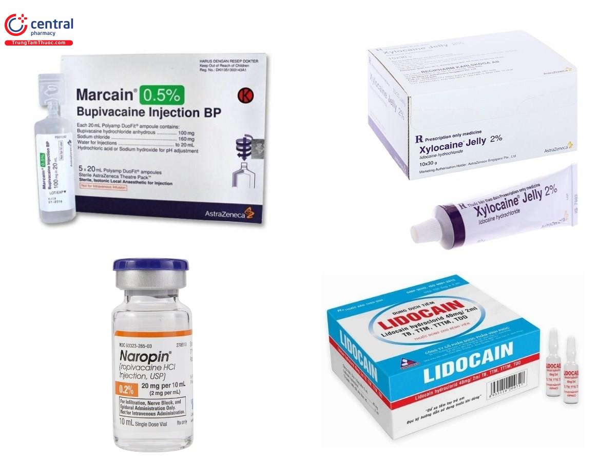 Thuốc gây tê có cấu trúc amid