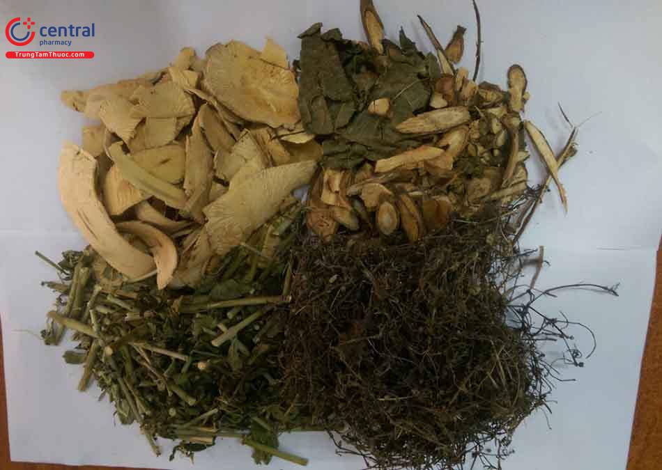 Xôn xao cây thuốc nam chữa khỏi ung thư máu