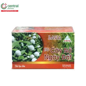 Trà Cây Nở Ngày Đất LAVA
