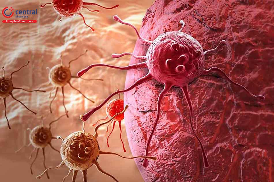 Tế bào ung thư hình thành và phát triển