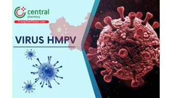 Virus HMPV có gây chết người không? có nguy hiểm giống virus Covid-19?