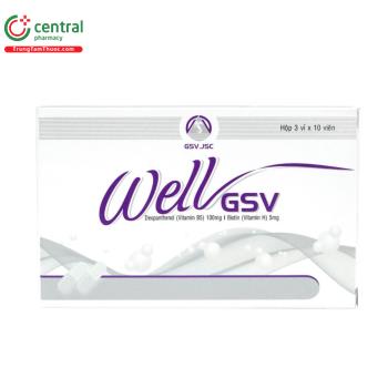 Well GSV