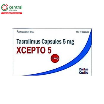 Xcepto 5 