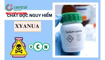 Chất độc Xyanua có trong thực phẩm nào? Cách xử trí khi ngộ độc Xyanua